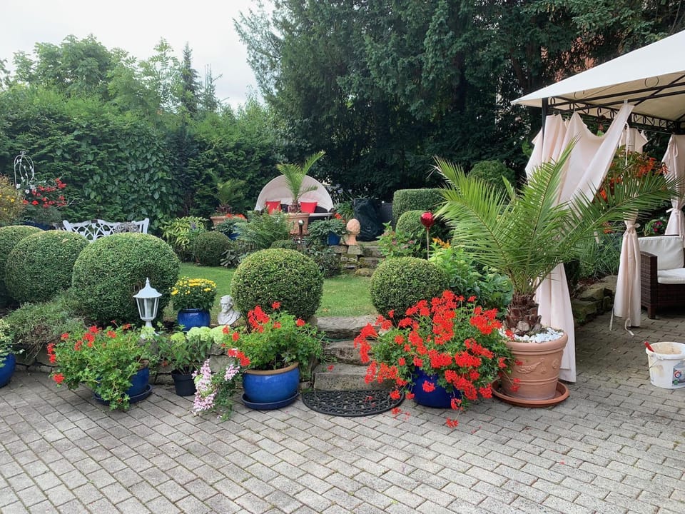 Schlossblick Apartment in Thale