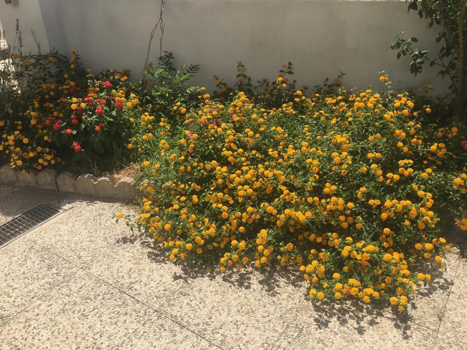 A Casa di Zia Bed and Breakfast in Sardinia