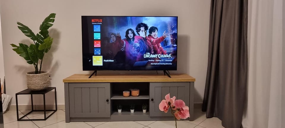 TV and multimedia