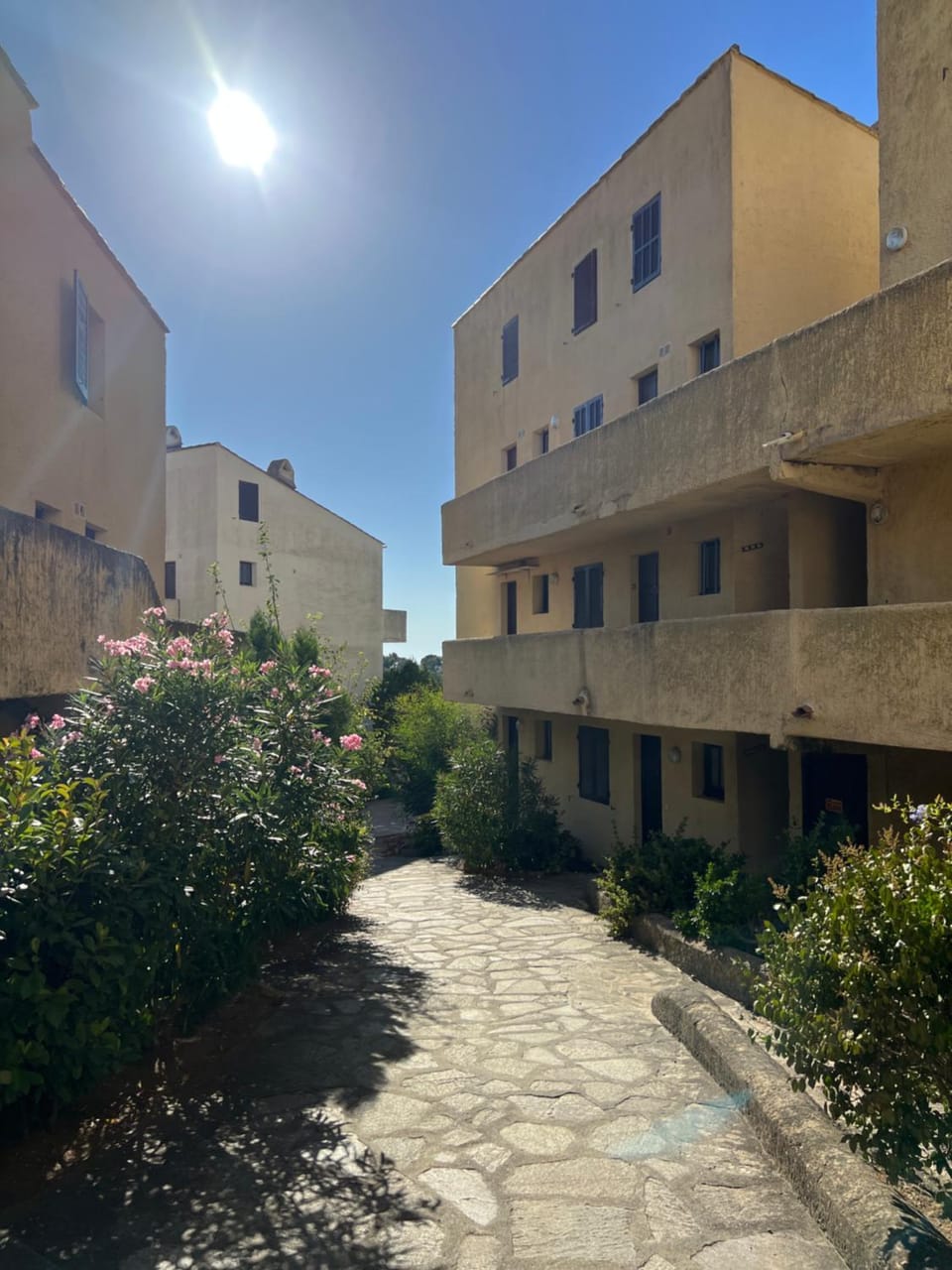 Property building, Day