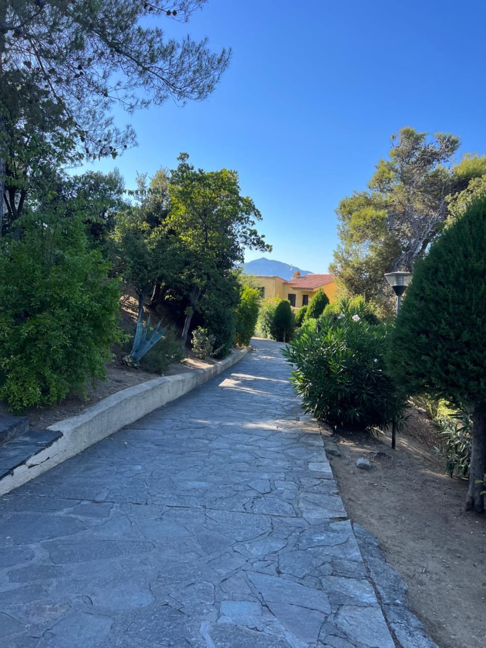 Natural landscape, Garden view