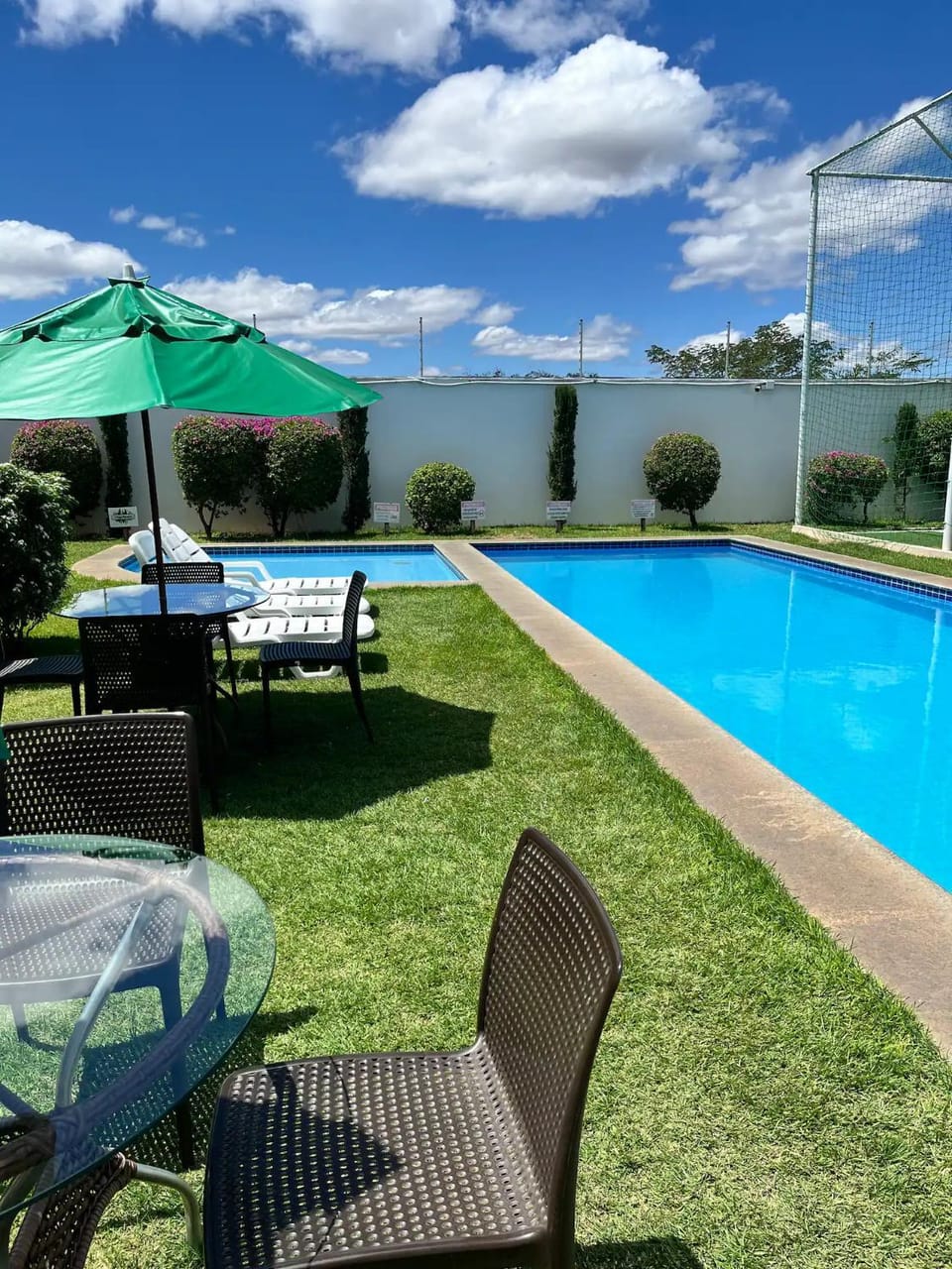 Garden, Pool view, Swimming pool