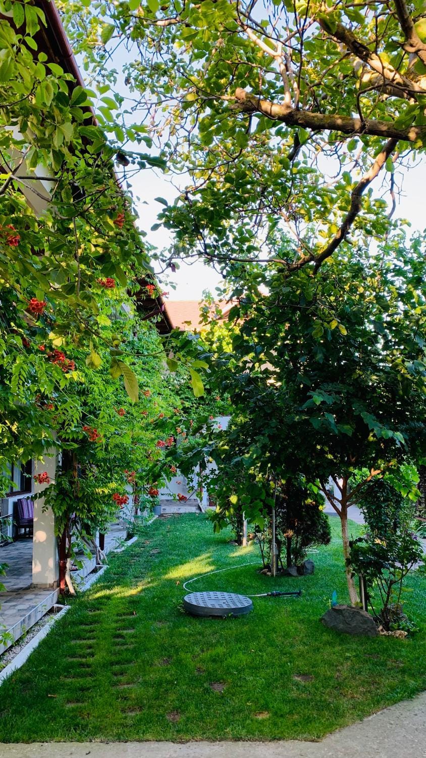 Spring, Day, Natural landscape, Garden