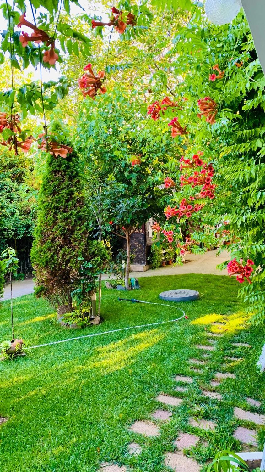Natural landscape, Garden, Garden view