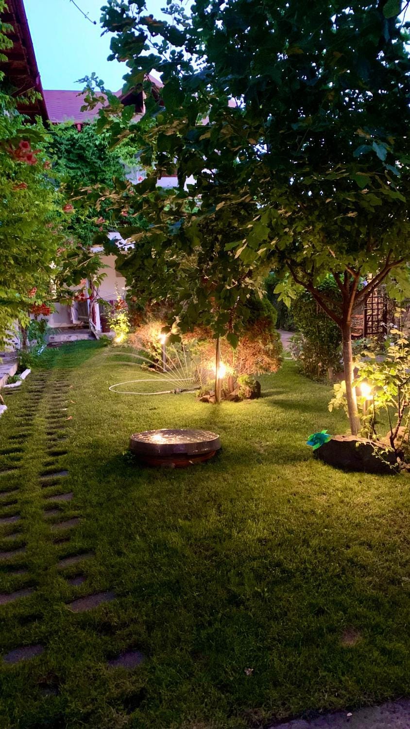 Natural landscape, Garden, Garden view