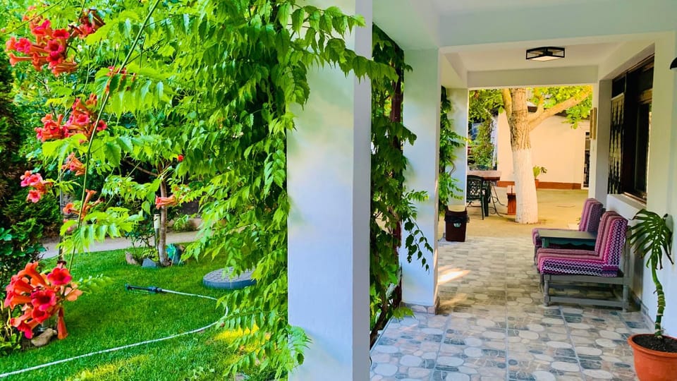 Patio, Garden, Seating area, Garden view