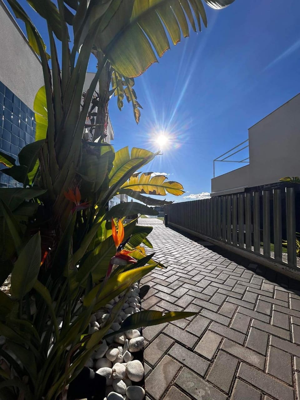 Turquesa Del Mar - Max Beach Golf - Ground Floor Apartment Apartment in Vega Baja del Segura