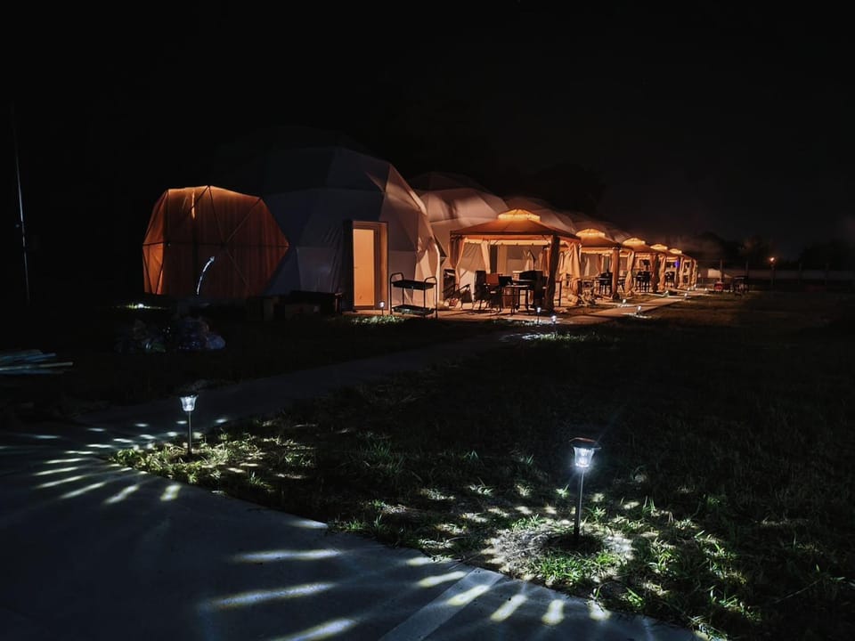 Night, Garden