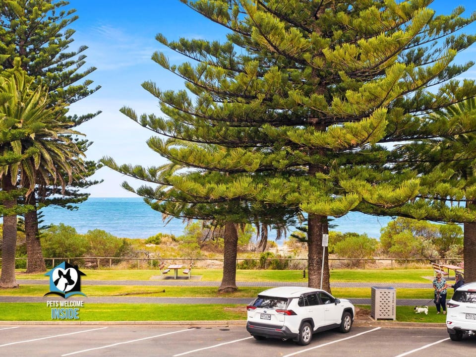 Spring, Natural landscape, Sea view, Location, Parking