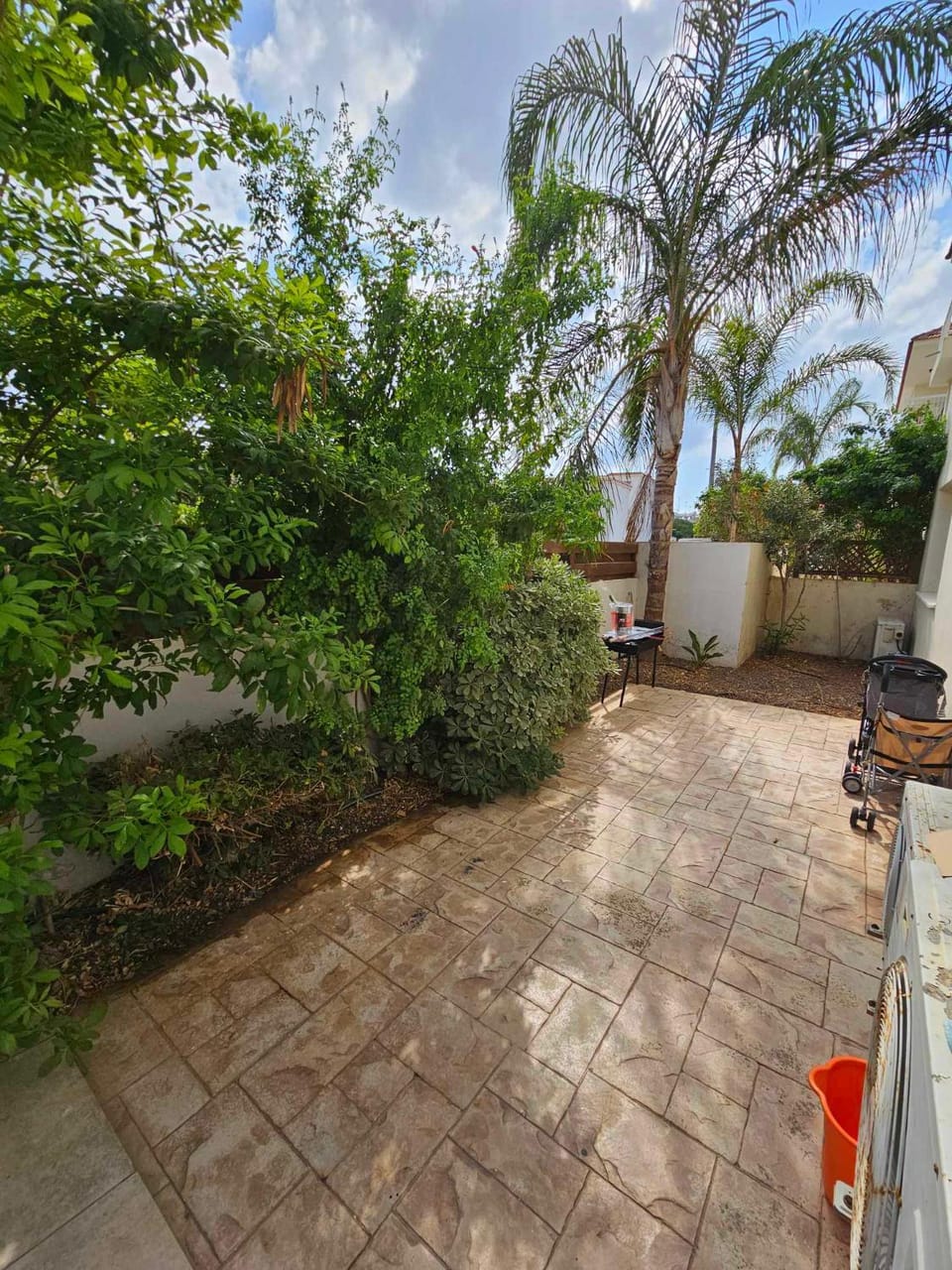 Day, Garden, Garden view