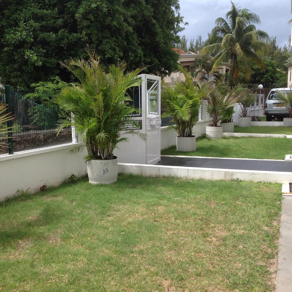 Day, Garden, Other