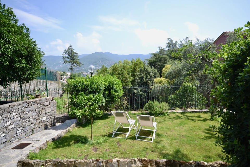 Natural landscape, Garden view