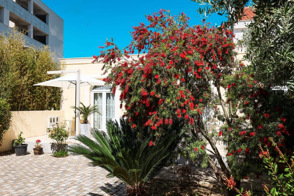 Guesthouse Villa Maggie Bed and Breakfast in Zadar