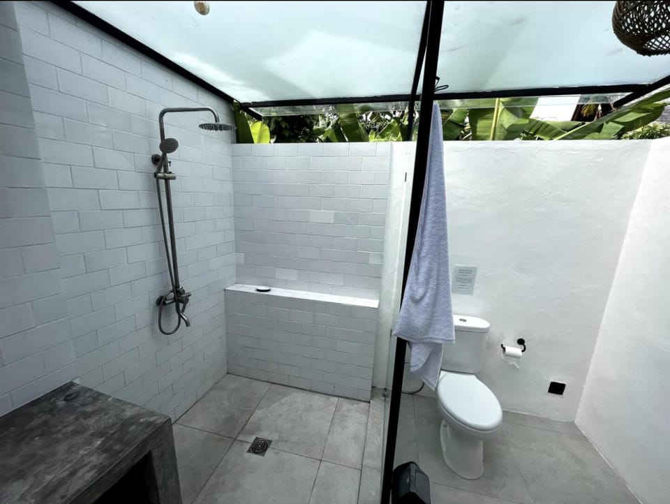 Shower, Toilet, Bathroom, towels