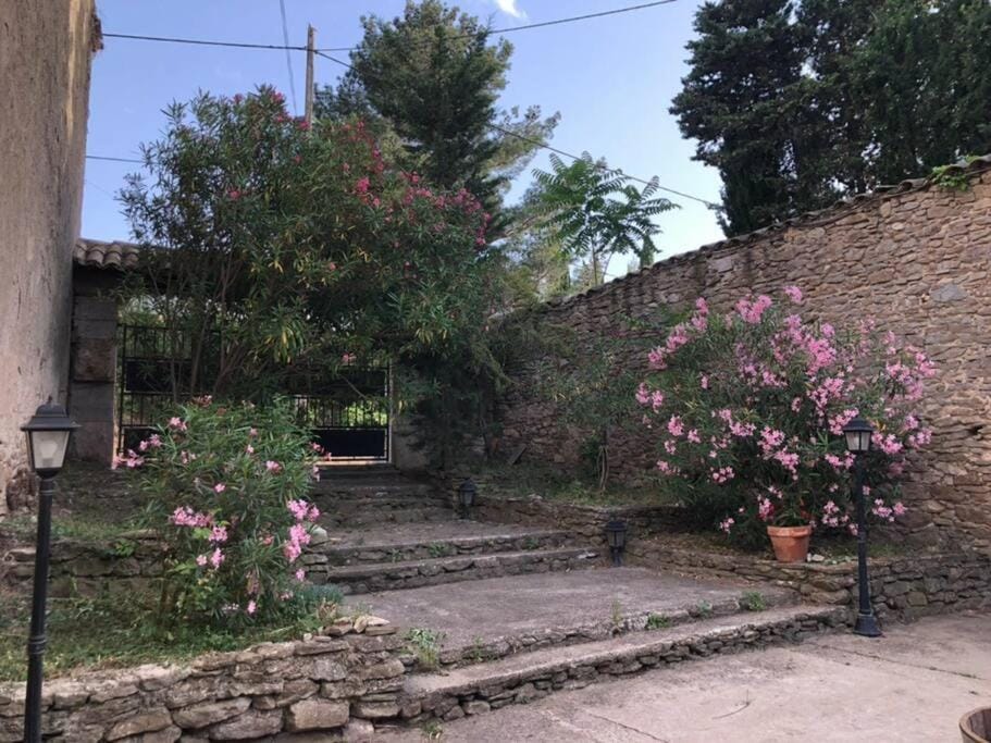 Haut de maison et piscine dans un domaine viticole House in Occitanie