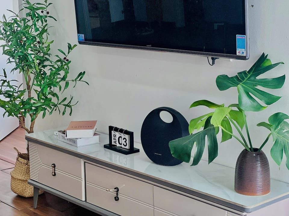 TV and multimedia, Decorative detail