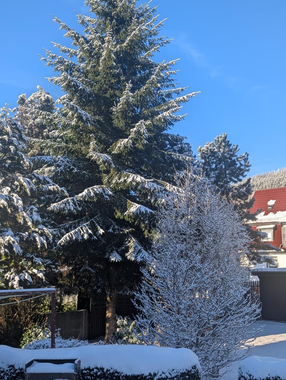 Gästehaus Regina Bed and Breakfast in Thuringia, Germany