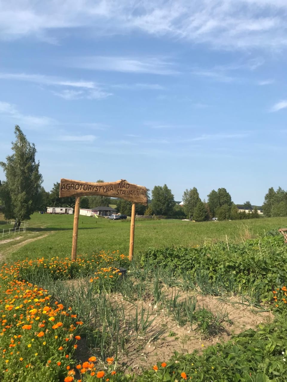 Garden, Garden view