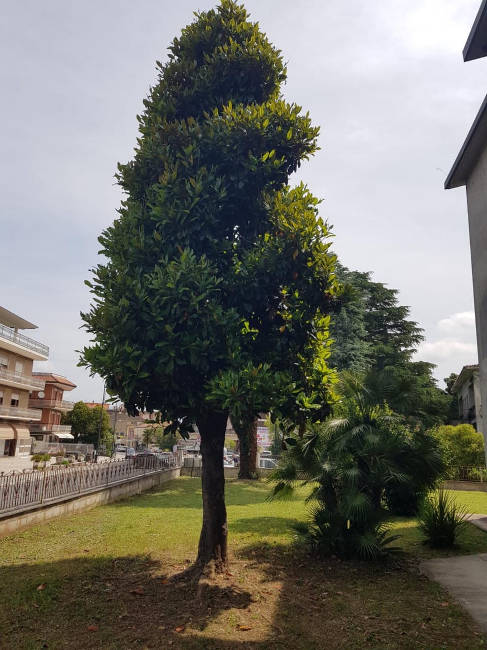 La Magnolia Apartment in Lazio