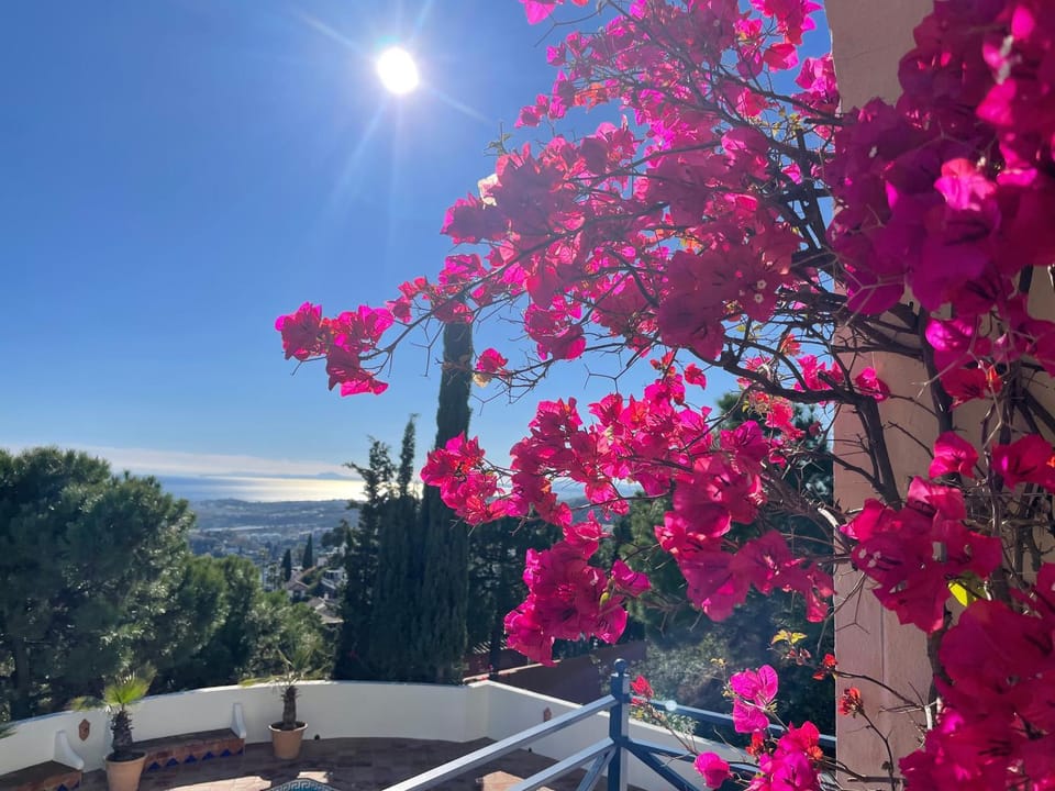 View (from property/room)