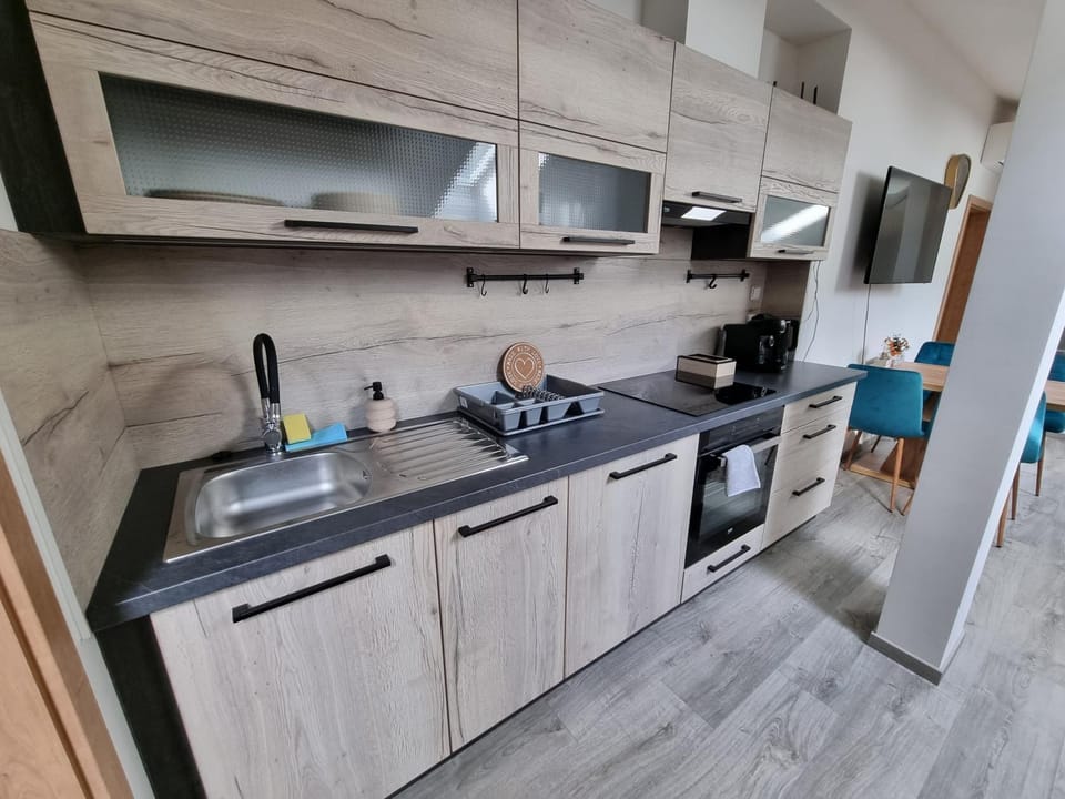 Kitchen or kitchenette, dishwasher, minibar, pet friendly, stove