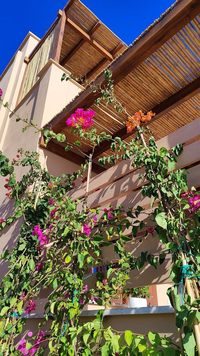 Property building, Day, Garden, View (from property/room), Balcony/Terrace, Decorative detail, Garden view
