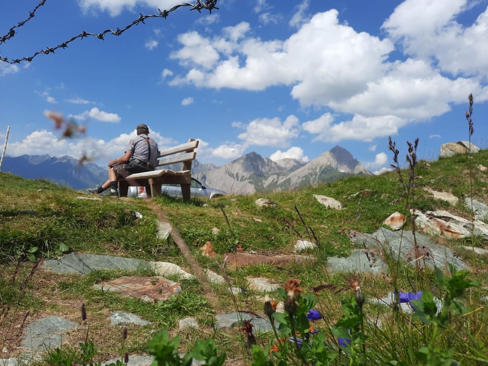 Summer, Mountain view