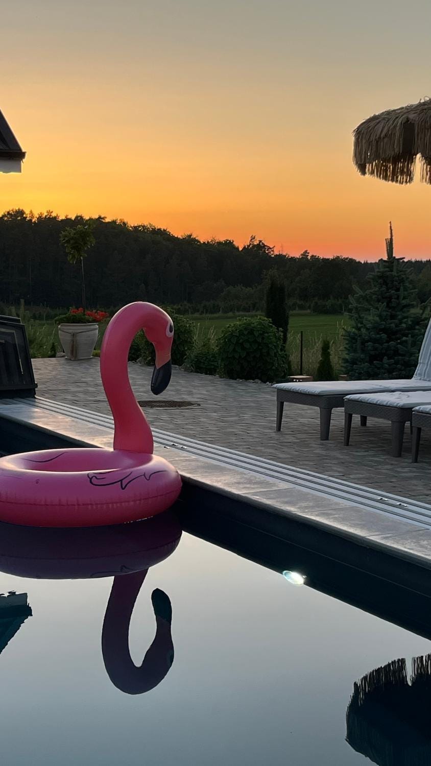 Pool view, Swimming pool, Sunset, sunbed