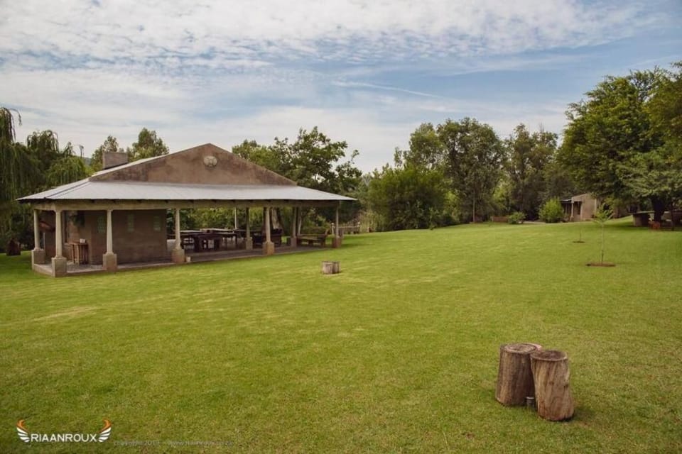 Day, Natural landscape, Garden, Garden view