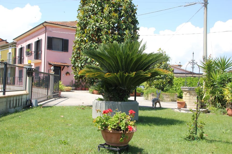 Garden view