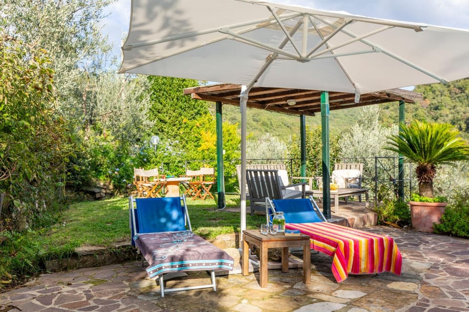 Garden, Garden view, sunbed