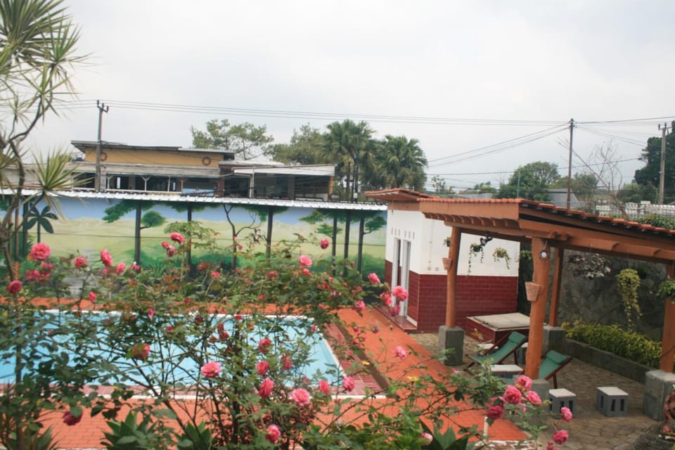 Natural landscape, Garden view, Pool view