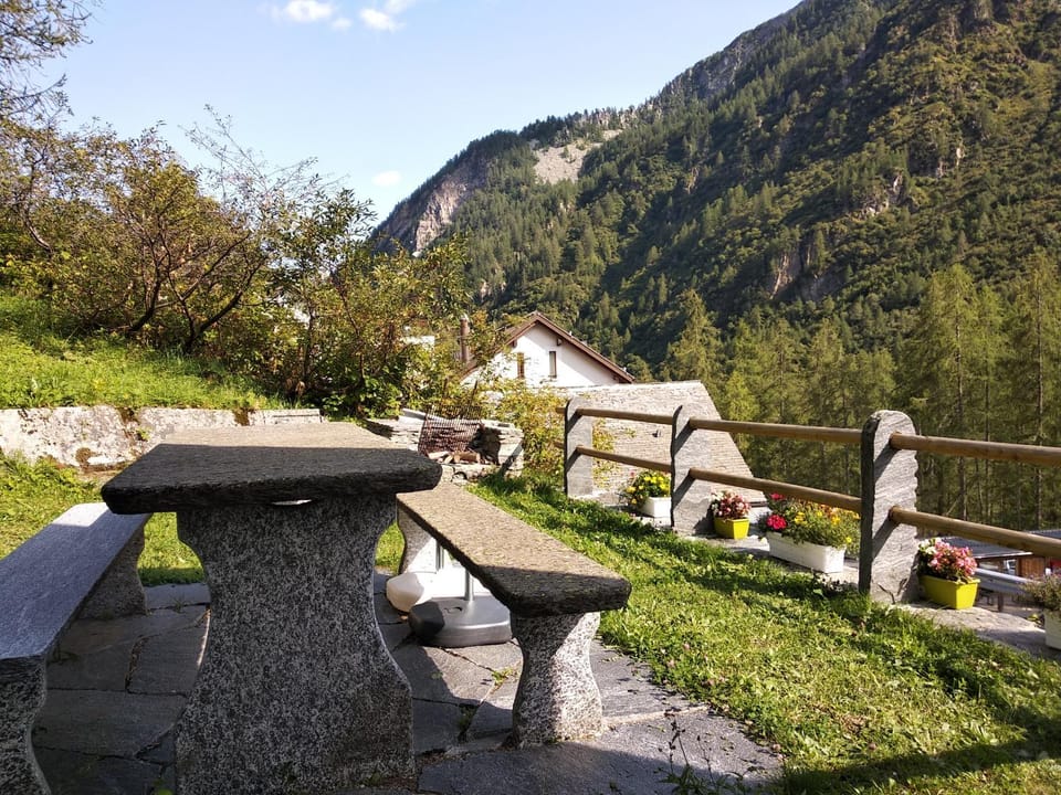 Day, Natural landscape, Garden