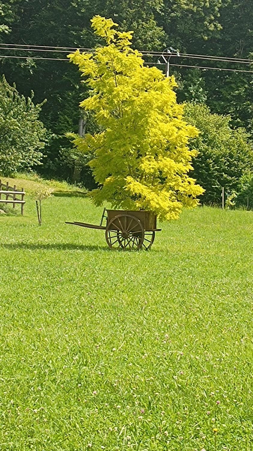La Petite Maison Dans La Prairie Bed and Breakfast in Pays de la Loire