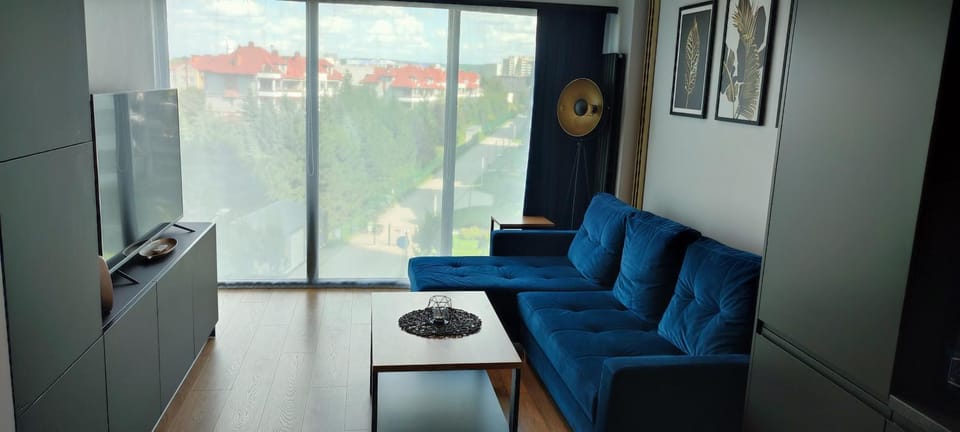 TV and multimedia, View (from property/room), Living room, Seating area