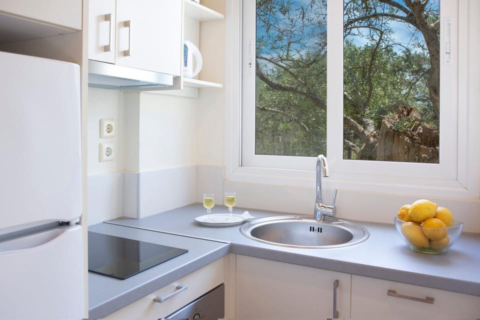 Iliana Villas Apartment in Lefkada