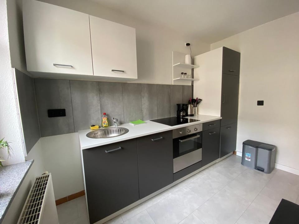 Apartment Bürgerstraße 47 60q.m Apartment in Dresden-Neustadt