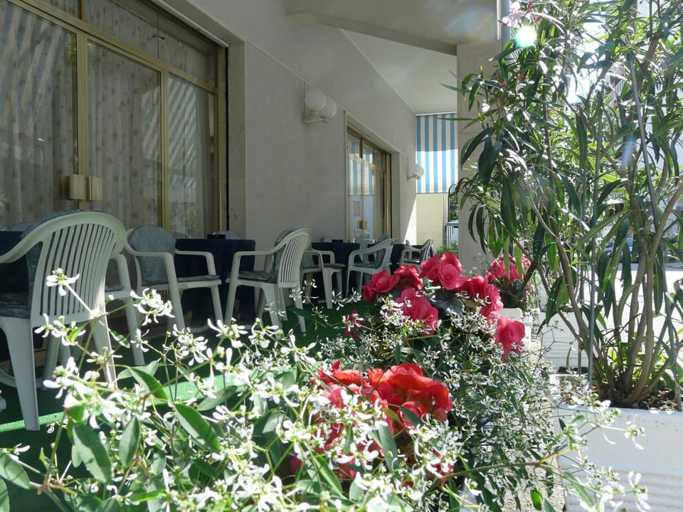 Balcony/Terrace, Other