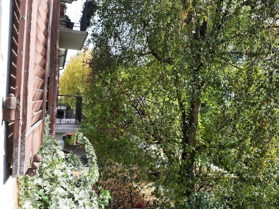 Garden, Garden view