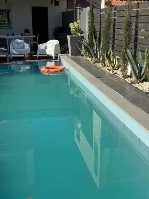 Villa olion House in Halkidiki
