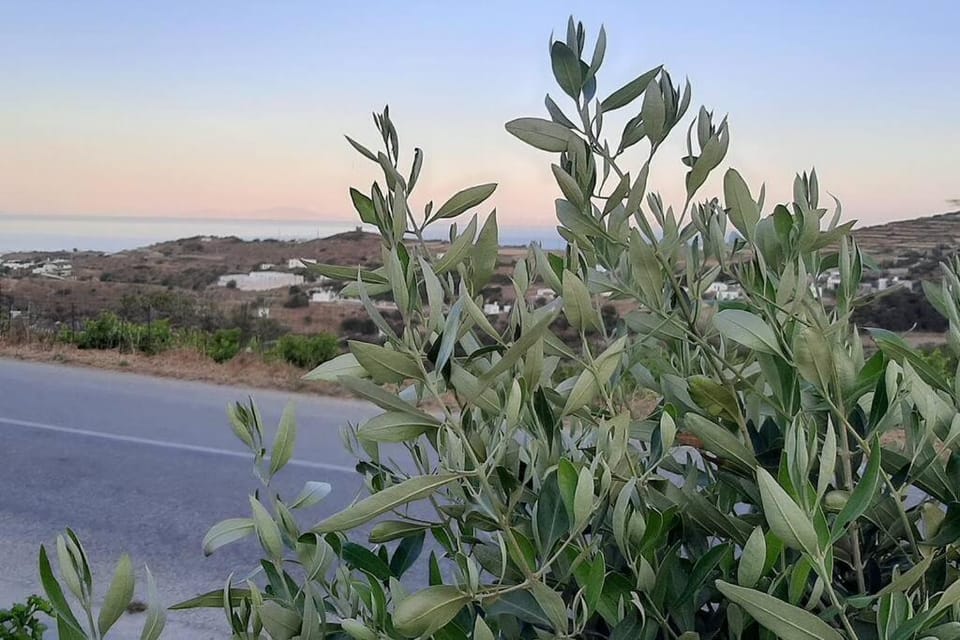 Apelagitis 2 Apartment in Milos