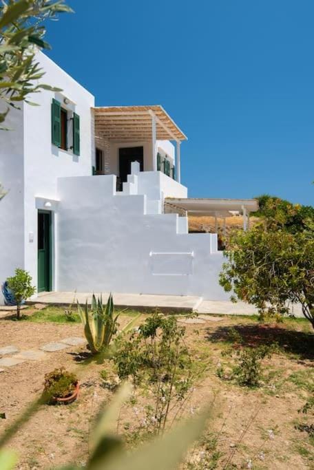 Apelagitis 1 Apartment in Milos