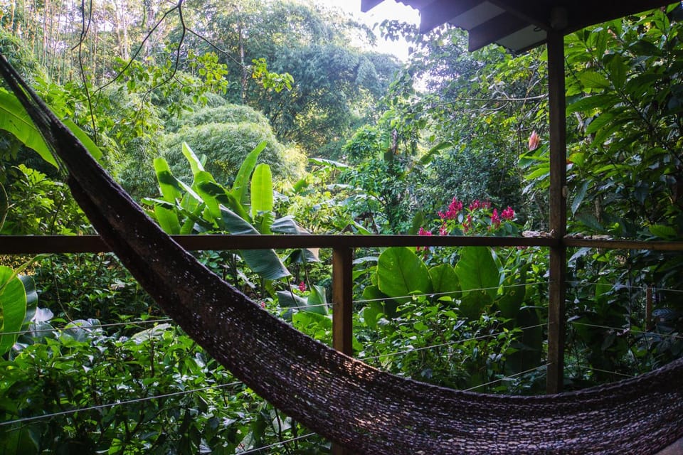 View (from property/room)