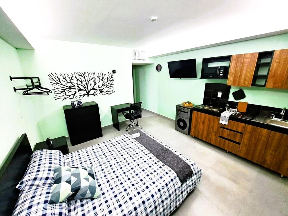 Bed, TV and multimedia, Kitchen or kitchenette, Photo of the whole room, Bedroom, oven, stove
