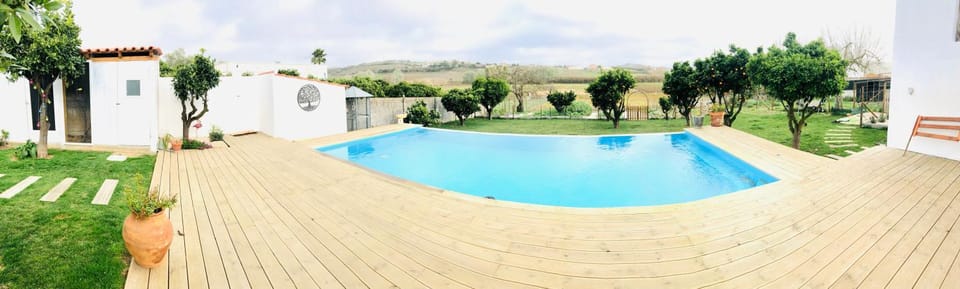 Day, Garden, Garden view, Pool view, Swimming pool