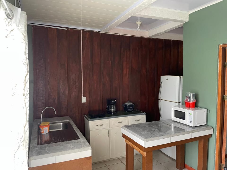 Big Sloth Apartment Apartment in La Fortuna