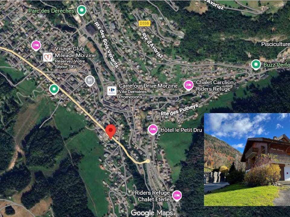 3 pièces à Morzine, skis aux pieds, animaux admis - FR-1-754-37 Apartment in Morzine
