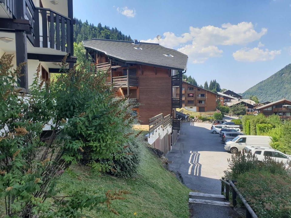 Charmant T2 à Morzine proche des pistes, 4 pers. - FR-1-754-33 Apartment in Les Gets
