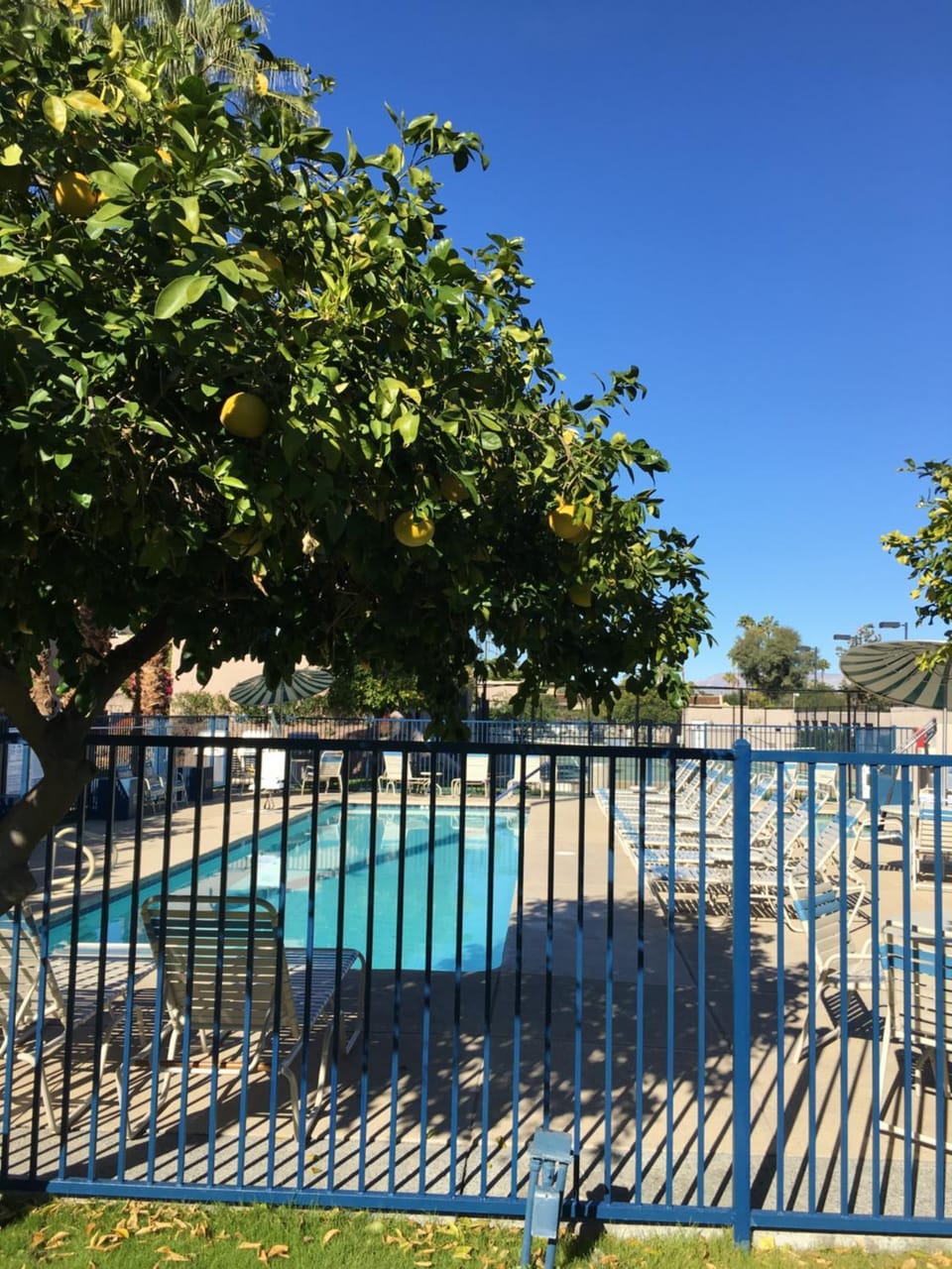 Swimming pool