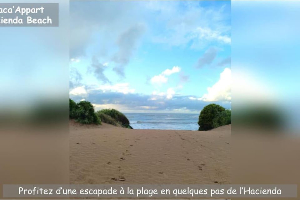 Day, Natural landscape, Beach, Sea view